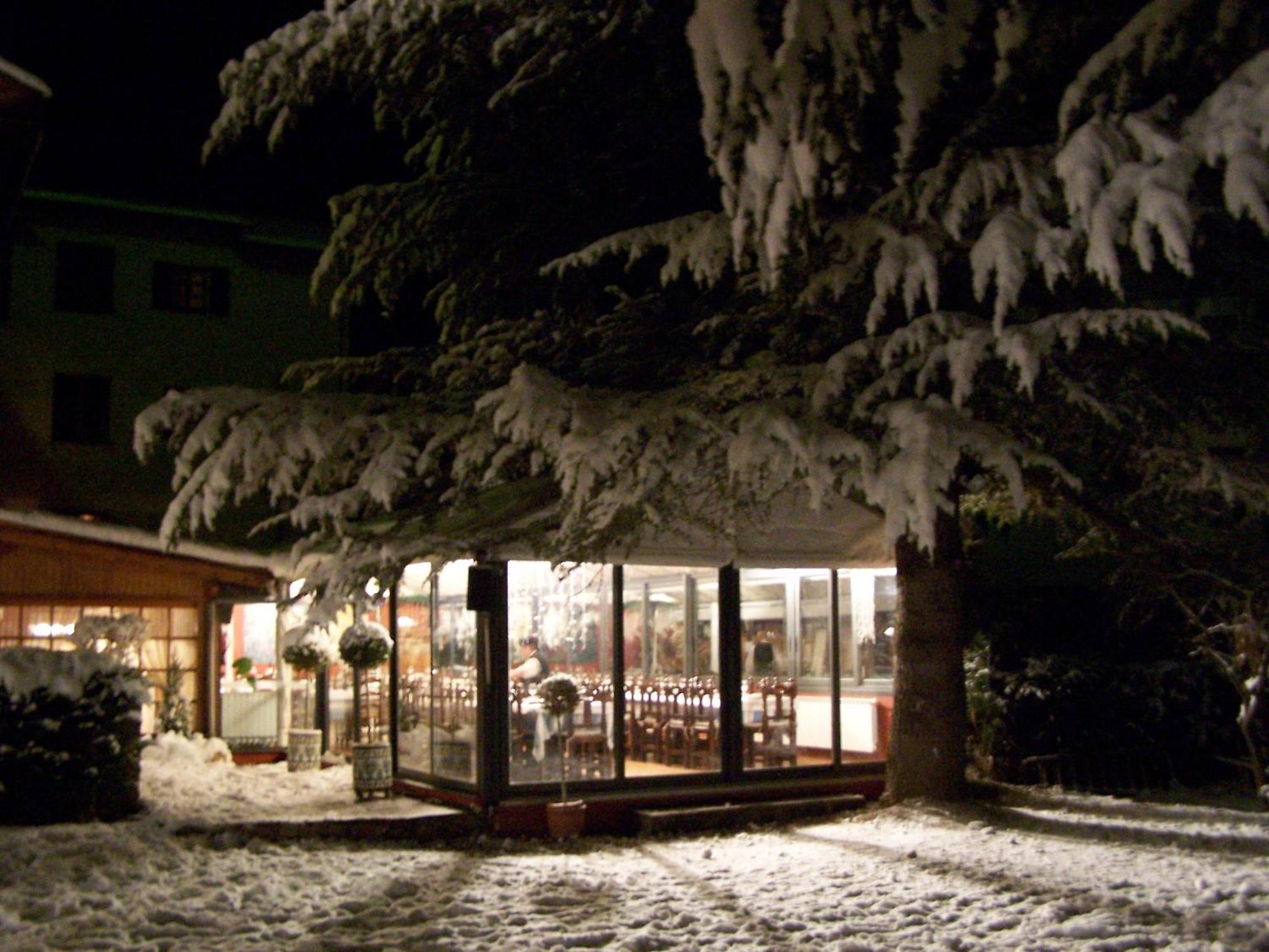 Aero Hotel Cerdanya Ca L'Eudald 알프 외부 사진